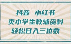 抖音小红书卖小学生教辅资料，一个月利润1W+，操作简单，小白也能轻松日入3位数