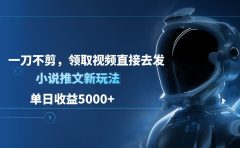单日收益5000+,小说推文新玩法,一刀不剪,领取视频直接去发