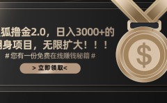 搜狐撸金2.0，日入3000+，可无限扩大的翻身项目。