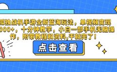 孤独战机手游全新蓝海玩法，单视频变现2000+，十分钟教学，小白一部手机无脑操作，附带教程和资料,干就完了！