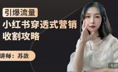 小红书穿透式营销收割攻略,引爆流量,助你玩转小红书