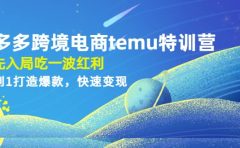拼多多跨境电商temu特训营:先入局吃一波红利,从0到1打造爆款,快速变现