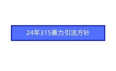 2024年315暴力引流方针