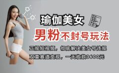 正规短视频引流男粉，解决账号违规风险 双赛道变现创新玩法 一天收款3600元