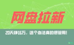 网盘拉新+私域全自动玩法，0粉起号，小白可做，当天见收益，已测单日破5000