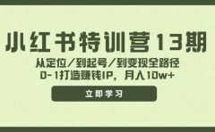 小红书特训营13期,从定位/到起号/到变现全路径,0-1打造赚钱IP,月入10w+
