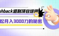 cashback返利项目培训：轻松月入3000刀的秘密（8节课）