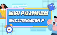 知识IP实战特训营，孵化-多赛道知识IP（33节课）