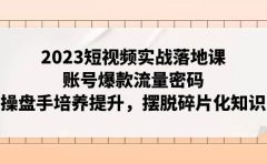2023短视频实战落地课，账号爆款流量密码，操盘手培养提升，摆脱碎片化知识