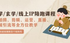 国学/玄学/线上IP陪跑课程，从0-1全方位教学，快速发展数百个矩阵号