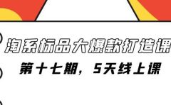 淘系标品大爆款打造课-第十七期，5天线上课