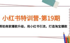 小红书特训营-第19期，帮助商家爆款升级，用小红书引流，打造淘宝爆款