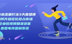 新商业-流量打法3天直播课：定位抢占市场 企业短视频获客 直播电商盈利系统