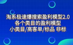 淘系极速爆搜索盈利模型2.0，各个类目的盈利模型，小类目/高客单/标品 非标