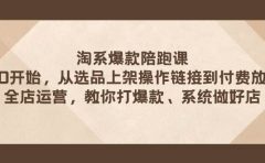 淘系爆款陪跑课 从选品上架操作链接到付费放大 全店运营 打爆款 系统做好店