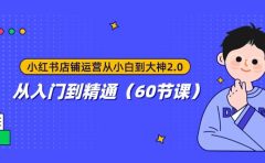 小红书店铺运营从小白到大神2.0，从入门到精通（60节课）