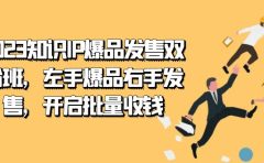 2023知识IP-爆品发售双 阶班，左手爆品右手发售，开启批量收钱