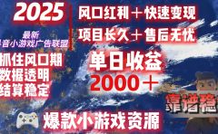 2025最新抖音小游戏广告联盟，日赚2000＋从零开始的财富逆袭