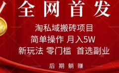 淘私域搬砖项目，利用信息差月入5W，每天无脑操作1小时，后期躺赚