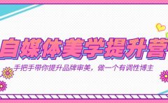 自媒体-美学提升营  手把手带你提升-品牌审美，做一个有调性博主（11节课）