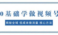 0基础学做视频号：揭秘全域 低成本做流量 核心方法  快速出爆款 轻松变现