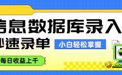 信息数据库录入，秒速录单，小白轻松掌握，每日收益上千