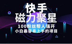 小白最容易上手的项目！售卖磁力聚星开通码，一单20，一天十几单，轻松...