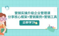 营销实操升级·企业管理课：分享核心框架+营销案例+营销工具（课程+文档）