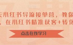 16天-小红书 导流接单营，教你引爆流量，在小红书精准获客+转化成交
