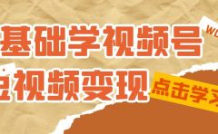 0基础学-视频号短视频变现：适合新人学习的短视频变现课（10节课）