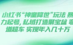 小红书“神童降世”玩法 暴力起号,私域打造聚宝盆 弯道超车 实现年入几十万