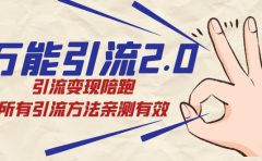 绅白·万能引流2.0，引流变现陪跑，所有引流方法亲测有效