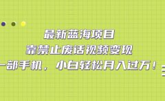 最新蓝海项目，靠禁止废话视频变现，一部手机，小白轻松月入过万！