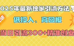 2025年最新独家引流方法，低投入高回报？当日引流300+精准创业粉