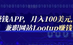 通过赚钱APP，月入100美元，正规兼职网站Lootup赚钱