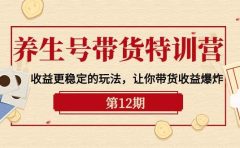 养生号带货特训营【12期】收益更稳定的玩法,让你带货收益爆炸-9节直播课