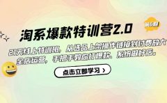 淘系爆款特训营2.0【第六期】从选品上架到付费放大 全店运营 打爆款 做好店
