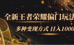 全新王者荣耀偏门玩法，多种变现方式 一天1000+小白闭眼入（附1000G教材）