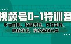 视频号0-1特训营：平台机制、拍摄剪辑、内容创作、爆款公式，实战案例分享