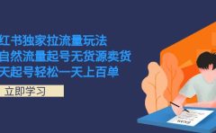小红书独家拉流量玩法，纯自然流量起号无货源卖货 三天起号轻松一天上百单