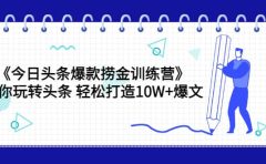 《今日头条爆款捞金训练营》带你玩转头条 轻松打造10W+爆文(44节课)