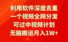 利用软件深度去重，一个视频全网分发，可过中视频计划，无脑搬运月入1W+