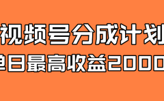 全新蓝海 视频号掘金计划 日入2000+