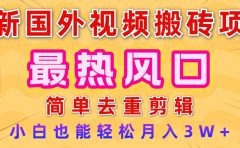2025最新热门风口，国外视频搬砖项目，简单去重剪辑，小白也能轻松月入3W+