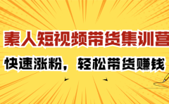 素人短视频带货集训营：快速涨粉，轻松带货赚钱