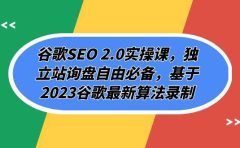 谷歌SEO 2.0实操课，独立站询盘自由必备，基于2023谷歌最新算法录制（94节
