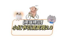 小红书最新引流变现2.0教程，全网最新最详细的视频教程+素材