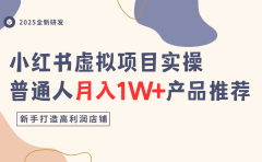 小红书虚拟项目实操指南,普通人月入1W+产品推荐,直接抄