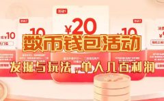 数字人民币_从严选为起点细讲个人怎么领红包（单人利润几百+）
