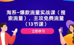 淘系-爆款流量实战课（搜索流量），主攻免费流量（13节课）